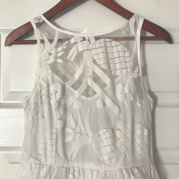 Anthropologie Lace Dress Pina Pineapple Fruit Fit and Flare Dress Women’s Size 2 - Picture 7 of 15